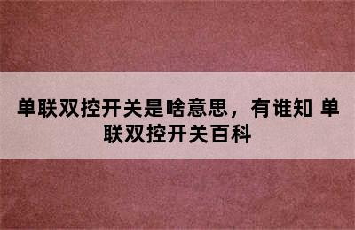 单联双控开关是啥意思，有谁知 单联双控开关百科